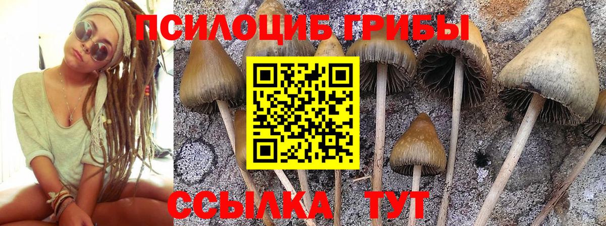 Галлюциногенные грибы MAGIC MUSHROOMS Амурск
