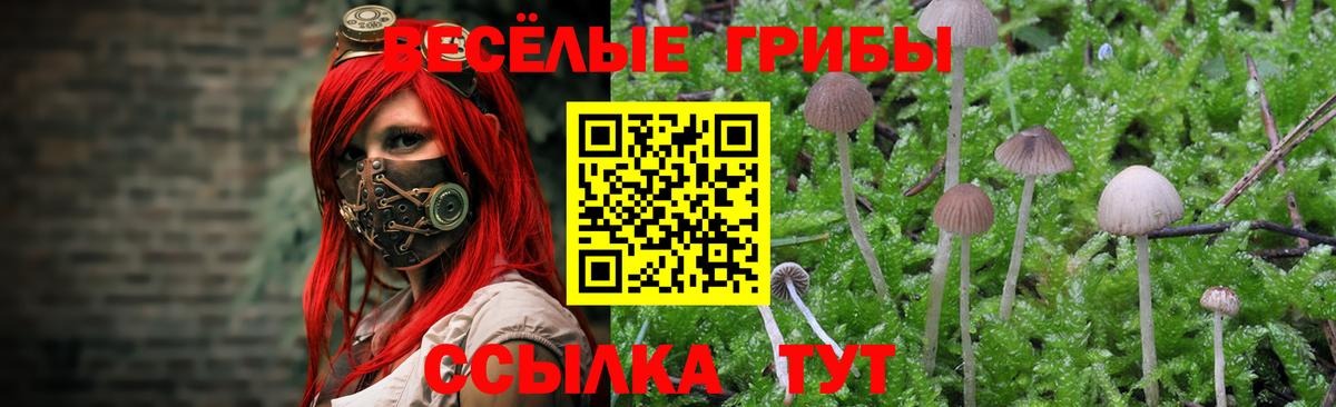 Псилоцибиновые грибы прущие грибы  Вход с VPN  Амурск  Галлюциногенные грибы мицелий 
